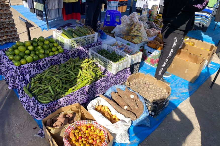 105 kilos de fármacos decomisaron en fiscalización a  feria en Alto Hospicio