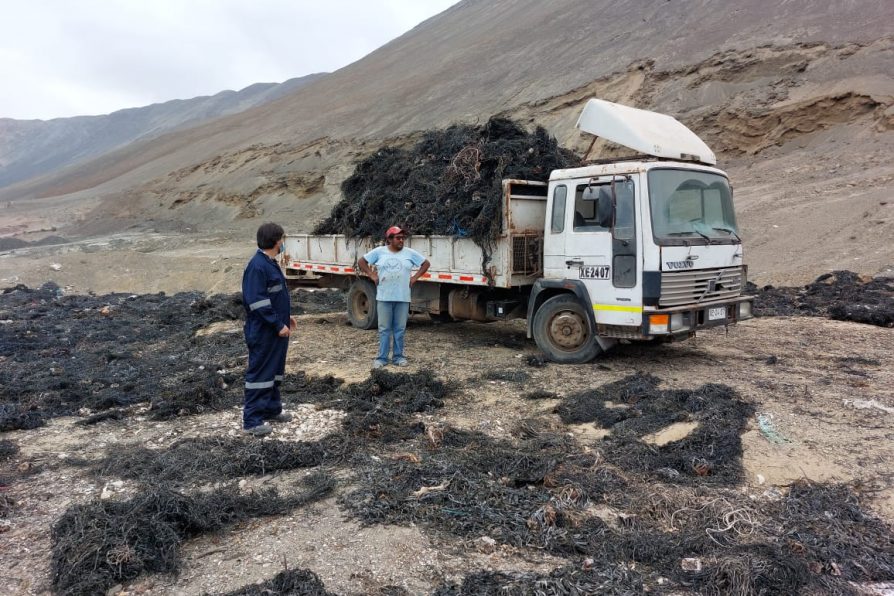 Sernapesca y Armada decomisaron 20 toneladas de huiro en San Marcos