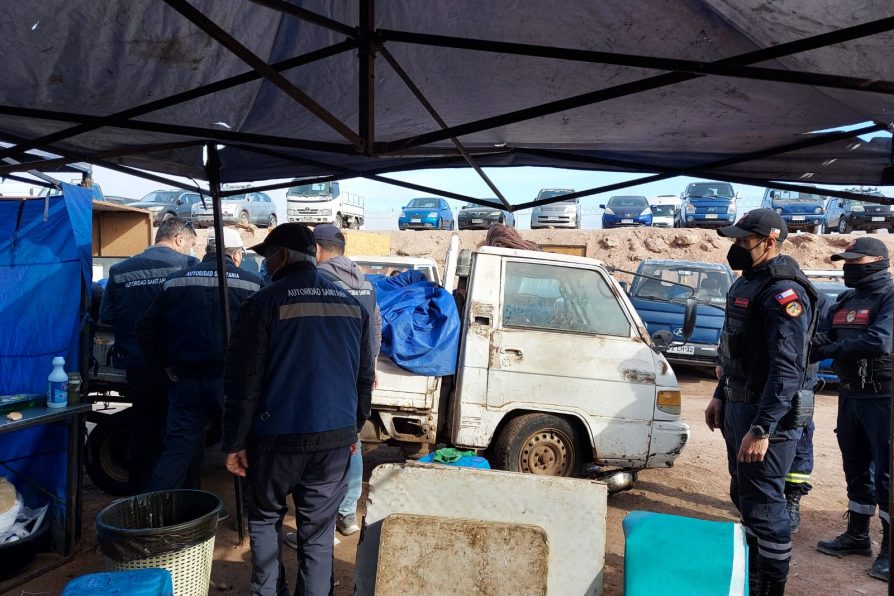 Más de 1.300 productos agropecuarios decomisaron en feria La Quebradilla en Alto Hospicio