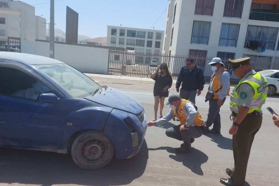 Con un detenido culminó fiscalización de comercio y transporte irregular de Alto Hospicio 