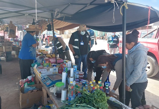 Con 21 infracciones a Ley de Tránsito concluyó fiscalización intersectorial en Alto Hospicio