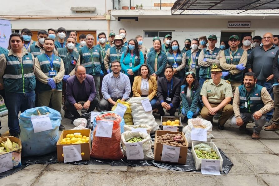 Ingreso clandestino: en 136% aumenta incautación de huevos de gallina