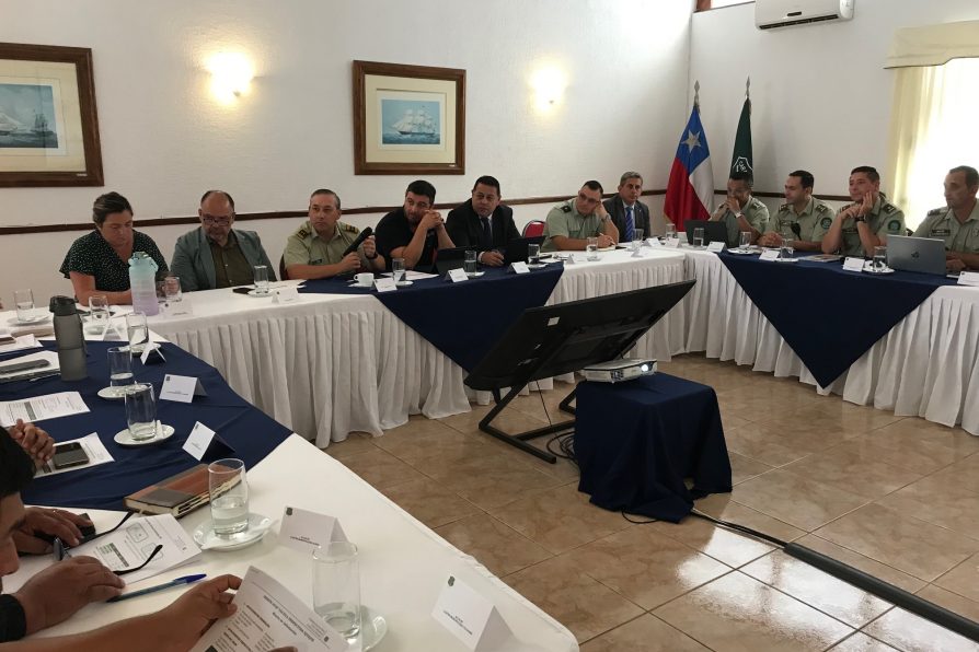 Stop confirma descenso de hechos delictuales en la Región de Tarapacá