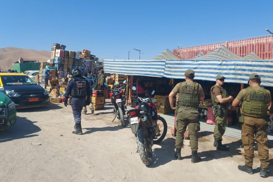 Delegación presidencial coordinó fiscalización al comercio informal en Alto Hospicio