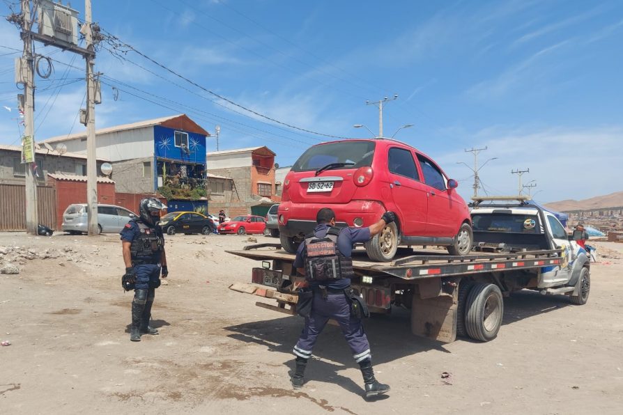 Decomiso de productos agrícolas y retiro de seis vehículos en fiscalización en Alto Hospicio