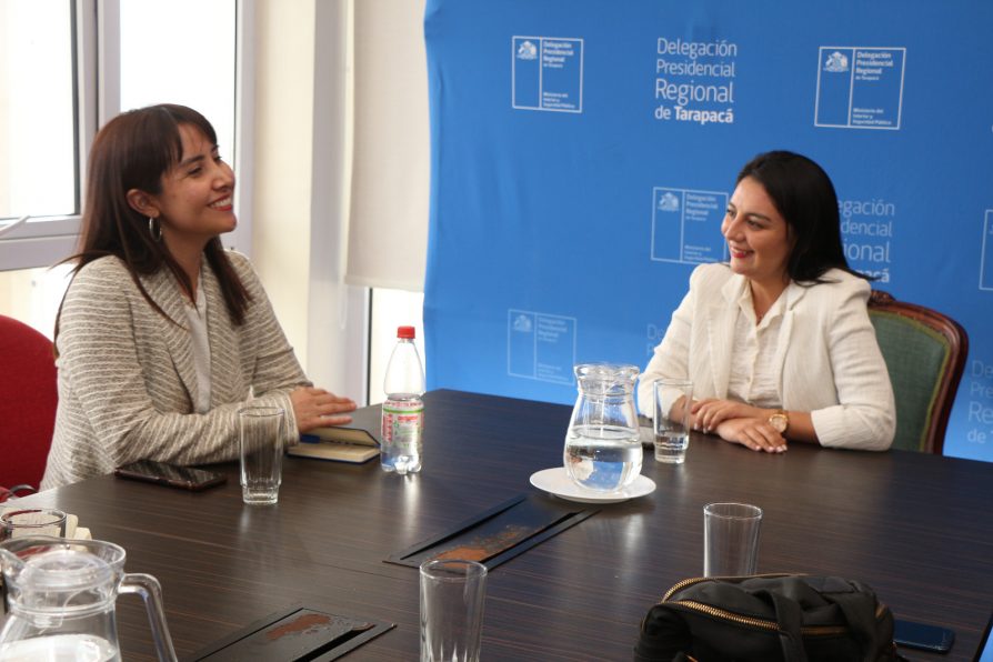 Sandra Mercado Martínez asumió como seremi de las Culturas, las Artes y el Patrimonio