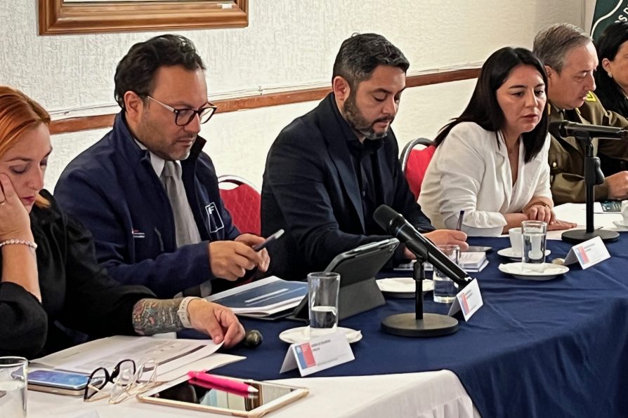 Subsecretario Rafael Collado en primera sesión del Consejo Regional de Seguridad Pública en Tarapacá