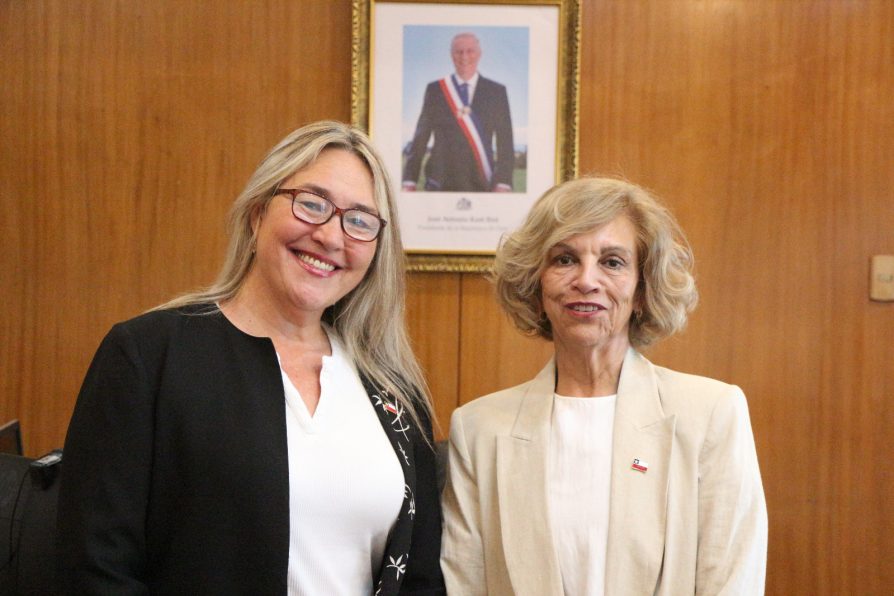 Karen Heyne Bolados asume como delegada presidencial provincial del Tamarugal