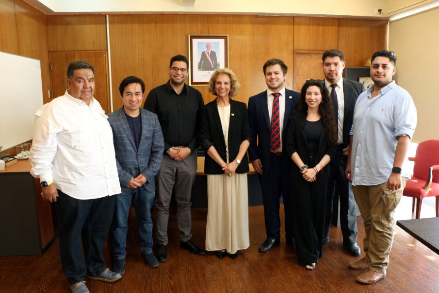 Delegada presidencial recibe saludo de concejales y jóvenes de la UDI