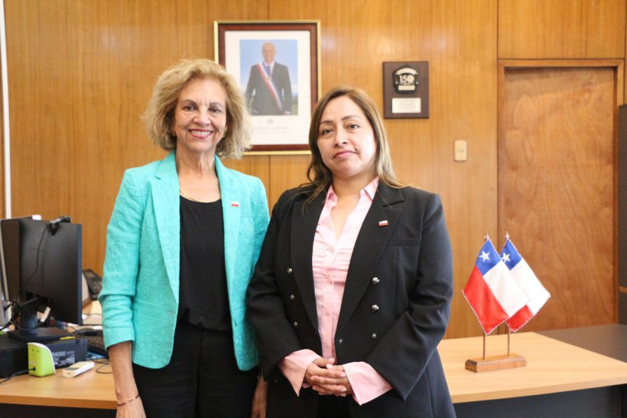 Denisse Barahona Vargas asume como seremi de Minería
