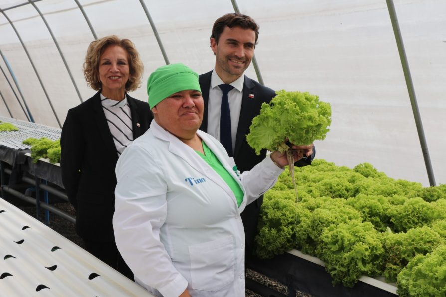 DELEGADA PRESIDENCIAL DE TARAPACÁ EN ACTIVIDADES JUNTO A SUBSECRETARIO DE DERECHOS HUMANOS