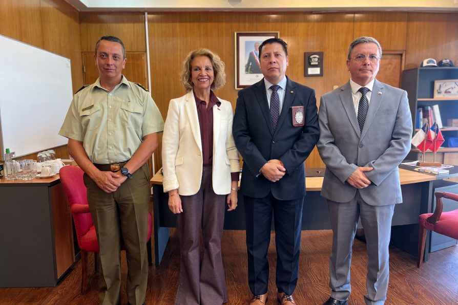 Operativo Conjunto y Escudo en Ruta: autoridades informan resultados de despliegues policiales que dejaron 82 detenidos y más de 800 controles de identidad