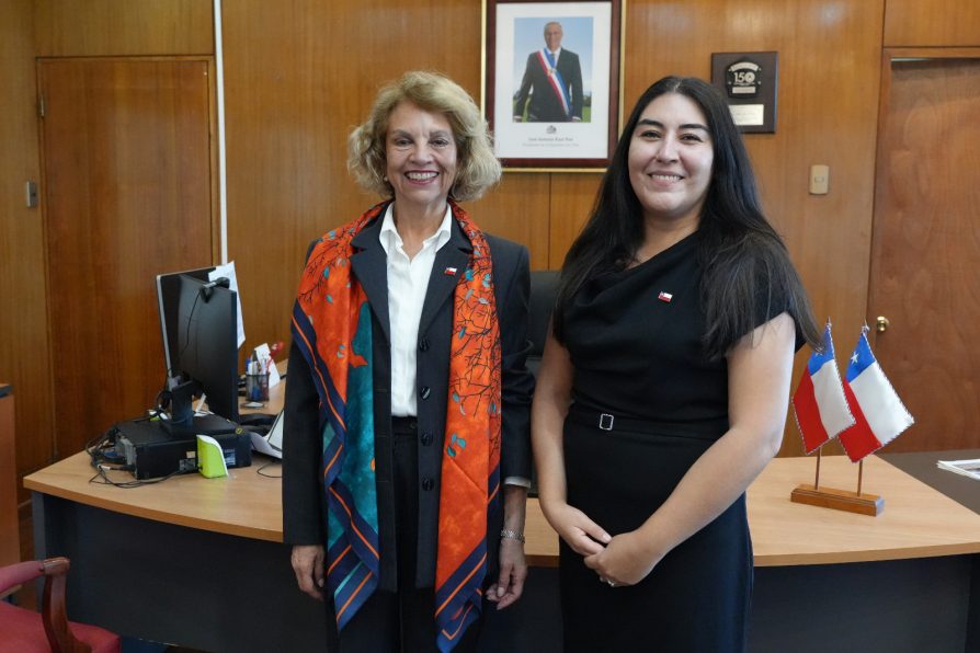 Delegada presidencial informó que Noelia Garrido asume como seremi de Bienes Nacionales