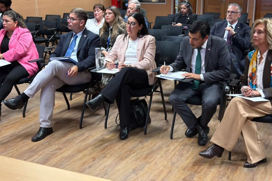 DELEGADA PRESIDENCIAL DE TARAPACÁ, LIDERA JORNADA DE CAPACITACIÓN DICTADA POR LA CGR PARA FORTALECER LA GESTIÓN REGIONAL